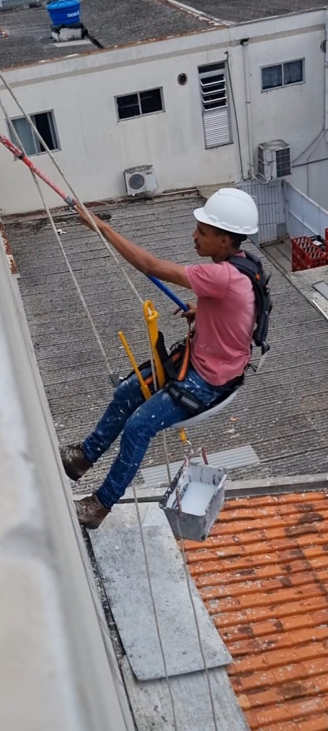 Profissional realizando limpeza em altura